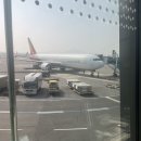728 | 제주 당일 퀵턴 후기(OZ8265/TW728)