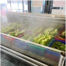 육해공 | 포항로컬맛집 청춘연가 송도 야장에서 청춘삼합육해공 먹은 후기
