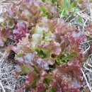 기승농장 이미지