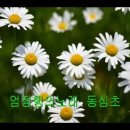 동심초 - 김성태곡 - 조수미 엄정행 이미지