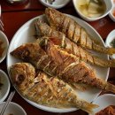 꽃섬해물 이미지