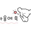 네일바이잰