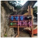 애월 돌담길 이미지