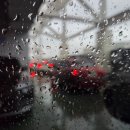 꽃달아줄개 | [수원역 파티웨딩유] 토요일 오후 6시 하객 참석 후기!