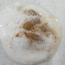 초콜릿종합동물병원 이미지