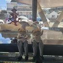 까페 오르골 부산 이미지