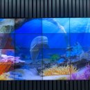 롯데월드아쿠아리움 이미지