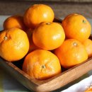 오서방네 농장 이미지