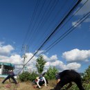 역고개농장 이미지