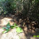 고실농장 이미지