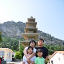 그루터기 이미지