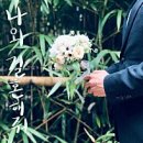 블랑(BLANC) 이미지