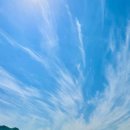 담양레이나CC | 3월 담양레이나CC 1부 후기 및 국밥맛집 소개