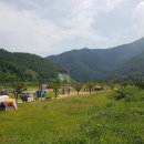 성주 여행코스 BEST 10 , 실패 없는 여행지만 모아 왔어요.
