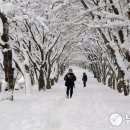 알프스호프 - 보은군 사내7길 5-7 | 알프스호프
