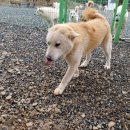 당북초등학교 이미지