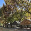 원주두리캠핑장 | 온수풀 키즈캠핑장 수도권 근교 키즈캠핑장 추천 원주두리캠핑장 솔직후기