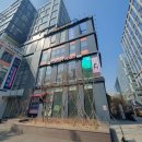스테리헤어 네이버블로그