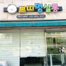 쁘띠멍살롱 이미지