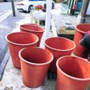 천마산곰탕 이미지