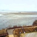 봉산축산 이미지