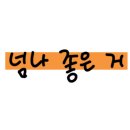 이현경애견미용학원 이미지