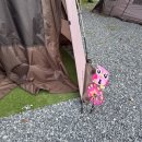 강진-23 | "이 가격에 이 퀄리티 실화?" 전남 강진 불금불파ㅣ병영 캠프닉 찐 후기