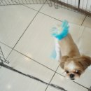 성내동물병원 이미지