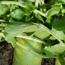 대천마을회관 이미지