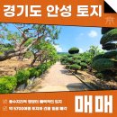 주식회사명당부동산중개법인 | 경기도 안성 토지 급매 매매 5700여평 풍수지리상 명당 자리!