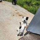 형주네 바다이야기 이미지