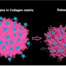(주)운트바이오 이미지