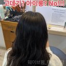 태건 | 양주 회천미용실추천 여자머리 엘리자벳펌 레이어드컷 태건원장 후기