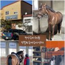 정철희 국제승마센터 이미지