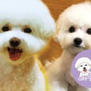 카페 몽몽 이미지