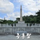 탄금공원 이미지