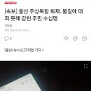 [속보] 울산 주상복합 화재..불길에 대피 못해 갇힌 주민 수십명 이미지