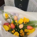 송재한의원 이미지