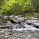 분설담화장실 이미지