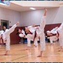 한양대청사태권도 이미지