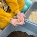 신금초등학교병설 이미지