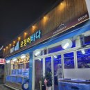 싱싱오징어 이미지