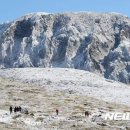 한라산풍경 이미지