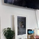 홍천로_2 | 강원도 홍천 실내 애견동반 베이커리 카페 - 홍천강뷰 &lt;테샤로바&gt; 내돈내산 후기