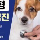 모루 동물의료센터 이미지