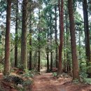 서홍동-10 이미지