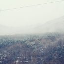 삼가리 160 이미지