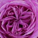 가람실버케어 | 추천 할만한 송파구 요양원 가람실버케어 송파구 요양원 추천