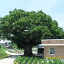 독동 경로당 이미지