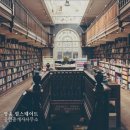영종도하늘부동산공인중개사사무소 이미지